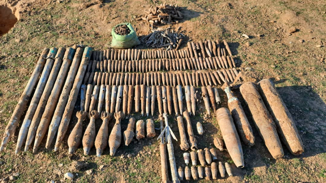 Agricultural and production services